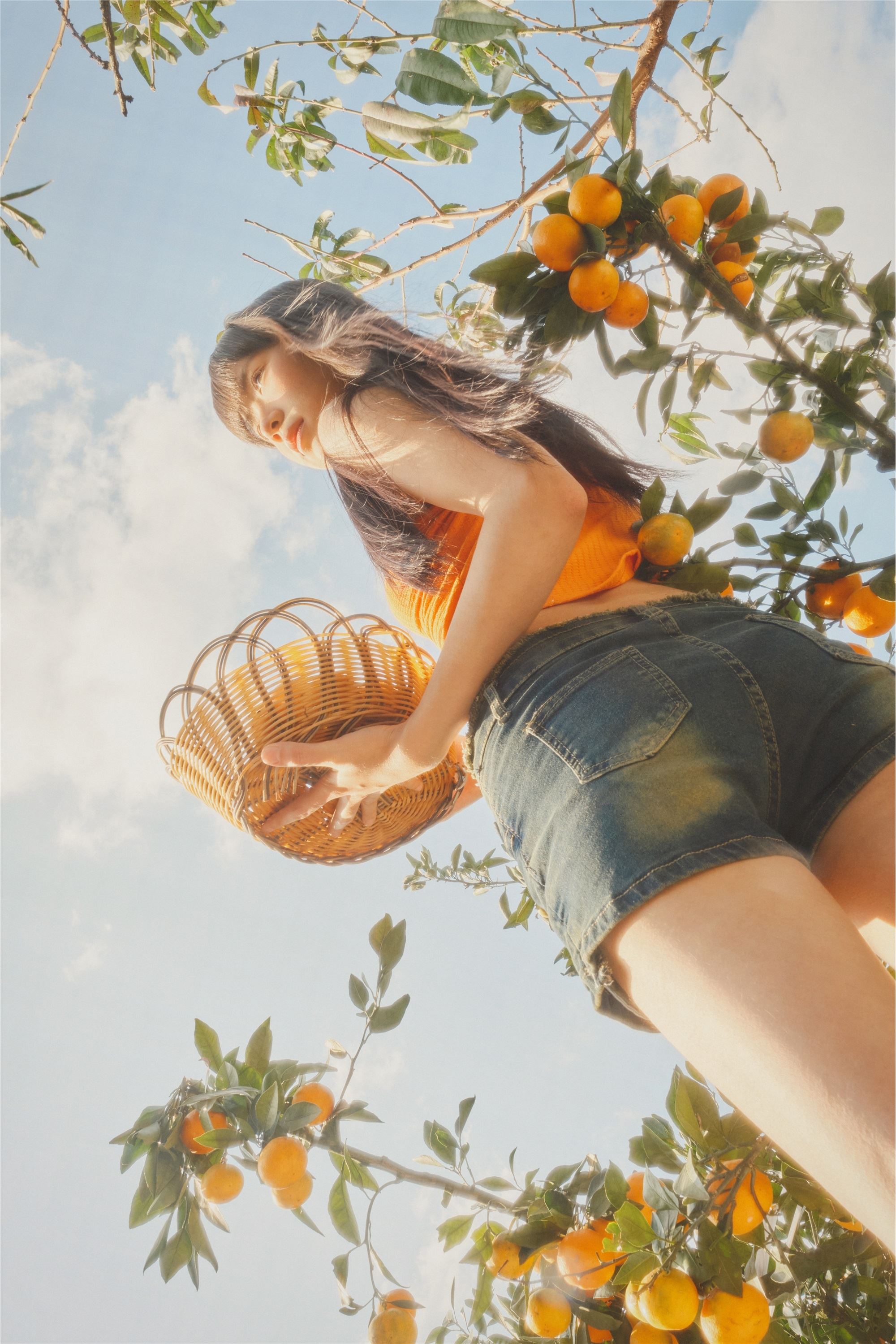 YITUYU艺图语 2025.01.26 橘子园 是三金呀